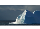 News story feasibility project image