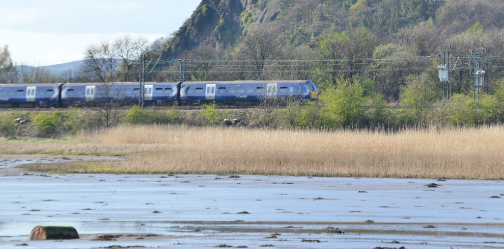 ScotRail train by the coast 