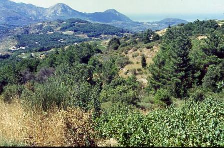 scenery at Platanos, Samos