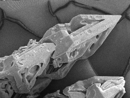 SEM image of skeletal sulphur Melos