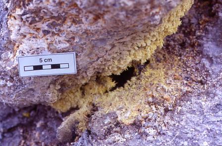 sulphur sublimation at fumarole, Aghia Kyriaki