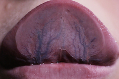 An photograph of an artwork from 'In/Human: The Body as Resource'.