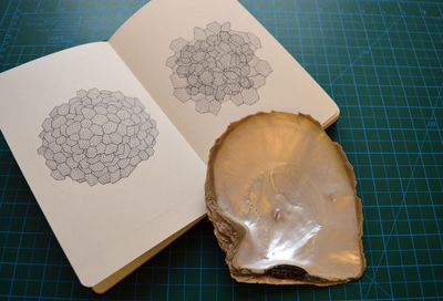 Rachel Duckhouse notebook and shell