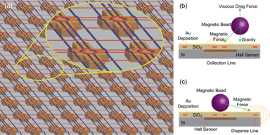 Magnetoelectronics image