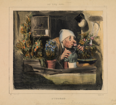 Honoré Daumier, L’Odorat (Smell), 1839 © The Hunterian, University of Glasgow.