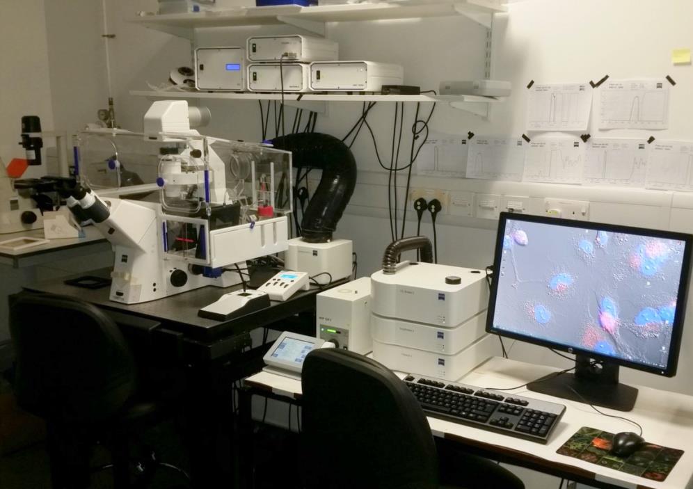 Zeiss Observer Z.1 Livecell Microscope