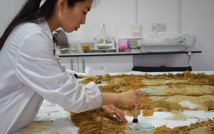 Misa Tamura conserving a large barkcloth garment