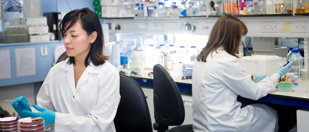 Infection, Immunity & Inflammation lab