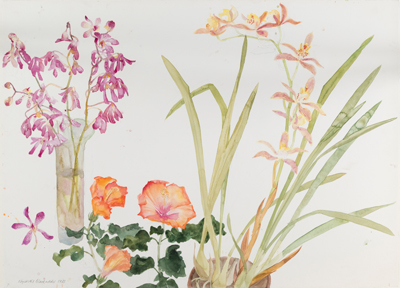Elizabeth Blackadder, Orchids, 1983. 
