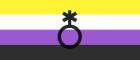 Non binary flag and symbol ( 700x300)