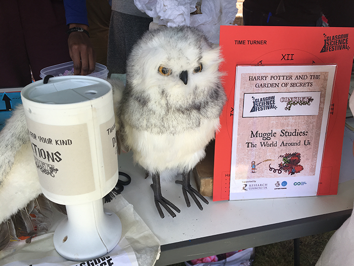owl at the magical studies station