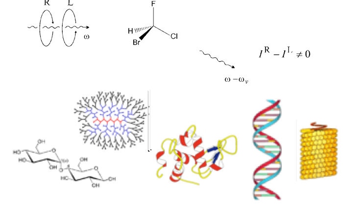 Raman Optical Activity examples