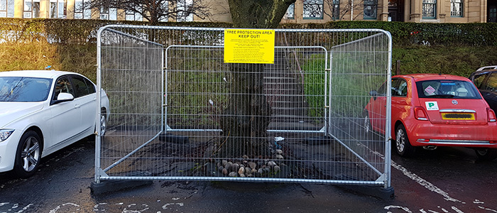 Image of a tree protected by Heras fencing