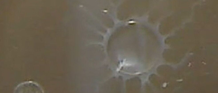 CroninDroplet