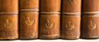 Image of old leather-bound library books courtesy FGUL