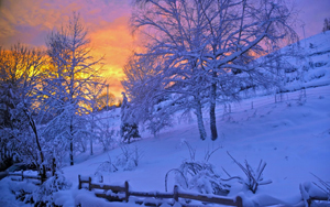 Winter