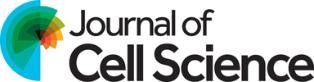 Jounal of Cell Science