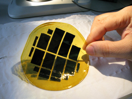 Flexible chips