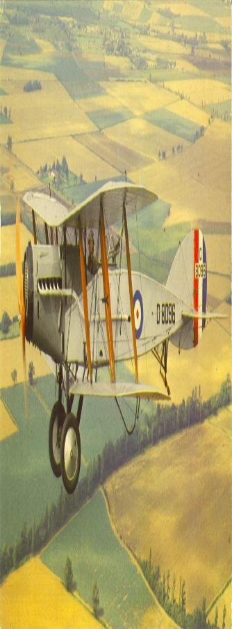 Bristol Fighter 2 painting
