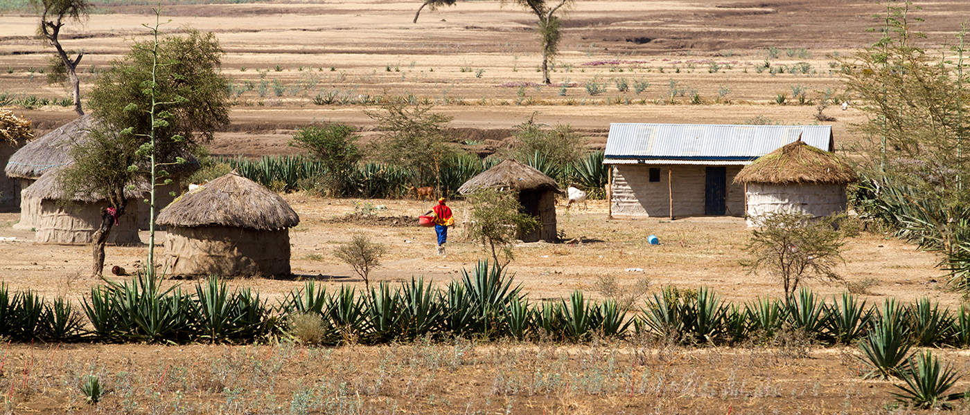 Huts in rural Tanzania
