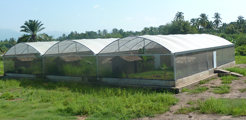 Photo of semi-field systems in Tanzania