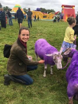 Katie Hildersley with apurple sheep