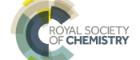 Royal Society of Chemistry Logo 700 x 300 (Credit RSC)