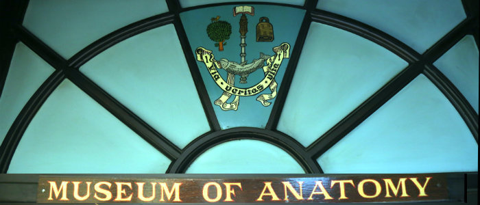 Image of Anatomy Museum Door