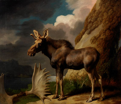 George Stubbs, The Moose, 1770 © The Hunterian, University of Glasgow.