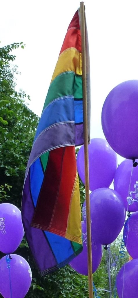 The rainbow flag: symbol of LGBT community pride. 476x1024px