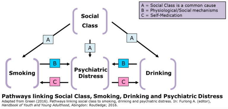 Figure taken from a book showing pathways linking Social Class, Smoking, Drinking and Psychiatric Distress, 768x367