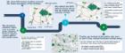 Timeline style figure showing stages of research, 700x300 px