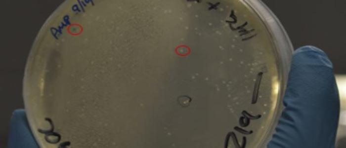 Johannes Stortz Blog tile