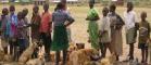 Line-up of people and dogs waiting to have their dogs vaccinated against rabies