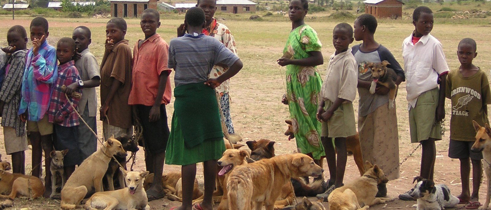 Line-up of people and dogs waiting to have their dogs vaccinated against rabies