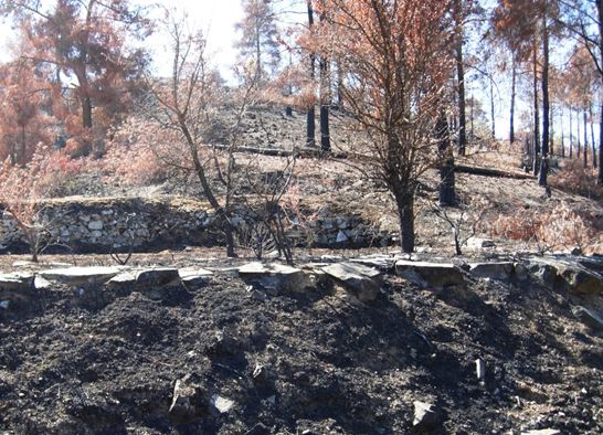 Burnt trees and eroding threshing floors at Karterouni, October 2016 (Erin Gibson)