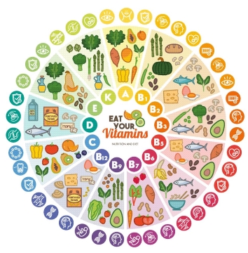 A circular chart describing vitamins and examples of which food contains them.
