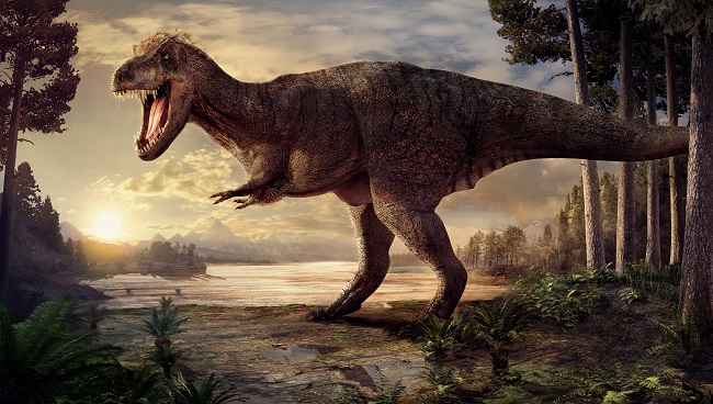 T.rex in Town - a T.rex skeleton will go on display in Glasgow's Kelvin Hall from April to July 2019. This is an artist's impression of what she looked like