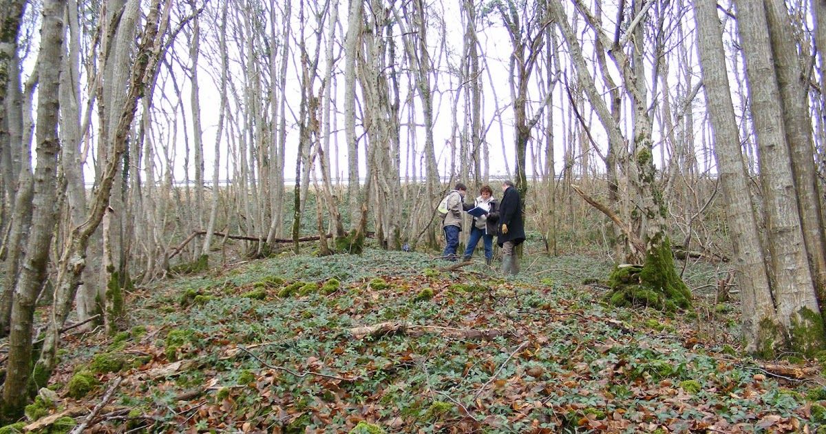 Recording a stone pile in Chailluz, France