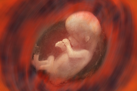 malefoetus