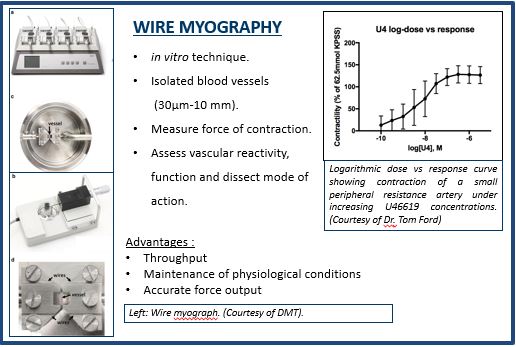 Image of Wire Myography
