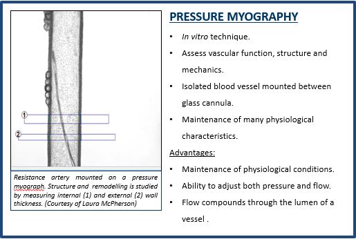 Pressure Myography