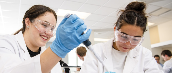 tile-BHF Research Lab 003