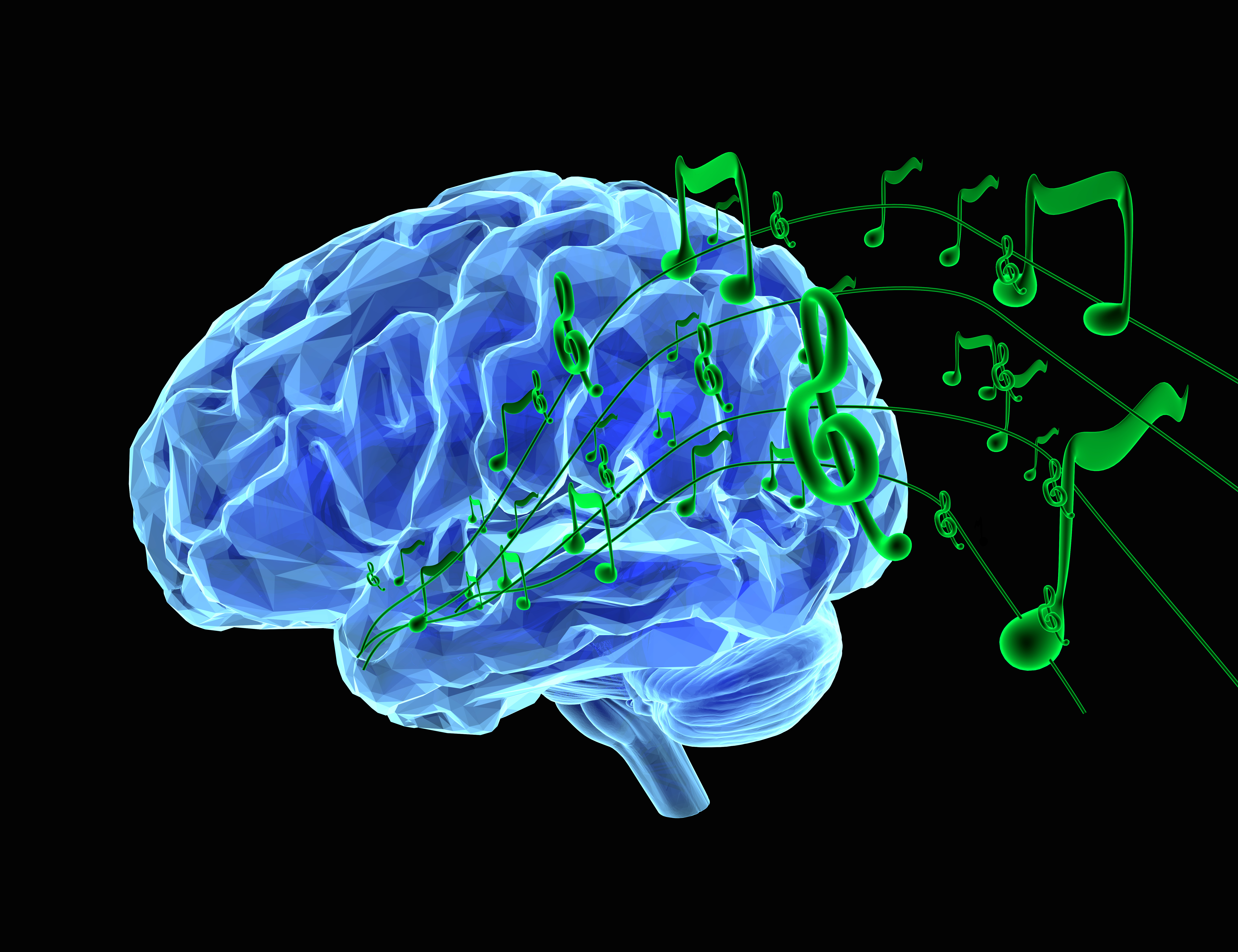 Песни brain. Изображение мозга. Головной мозг.