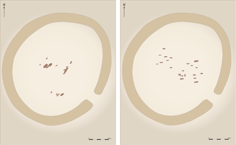 Plans of the Viking and Christian burials