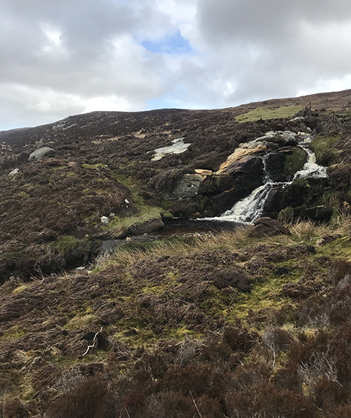 Image of moorland on Uist