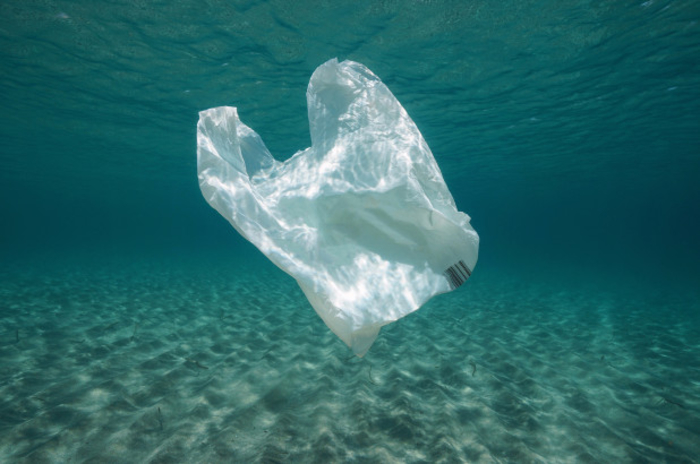 Plastic Pollution