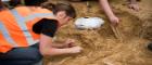 An archaeologists works on the dig site at Waterloo battlefield where human remains were discovered