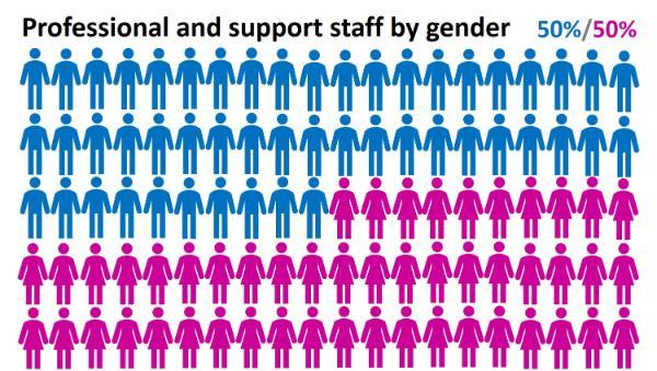 PSS staff by gender 50 percent male and 50 percent female