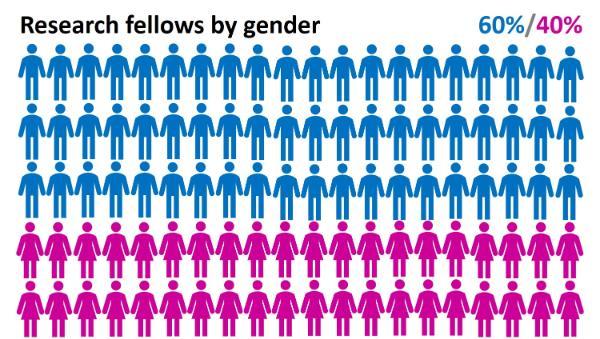 Research fellows by gender 60 percent male and 40 percent female